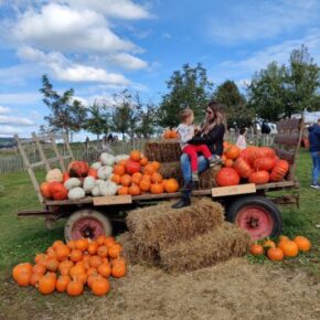 3 schöne Herbstausflüge mit Kindern – Ausflüge Herbst Schweiz