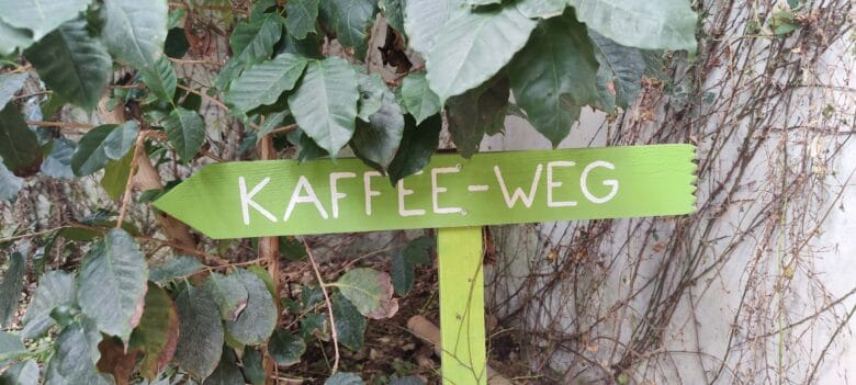 tropenhaus-wolhusen-kaffeeweg