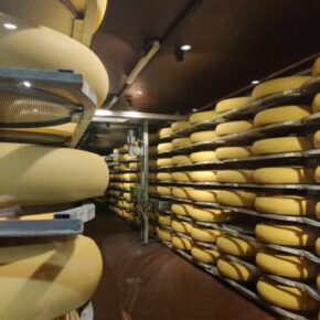 Der Königsweg Emmentaler Schaukäserei