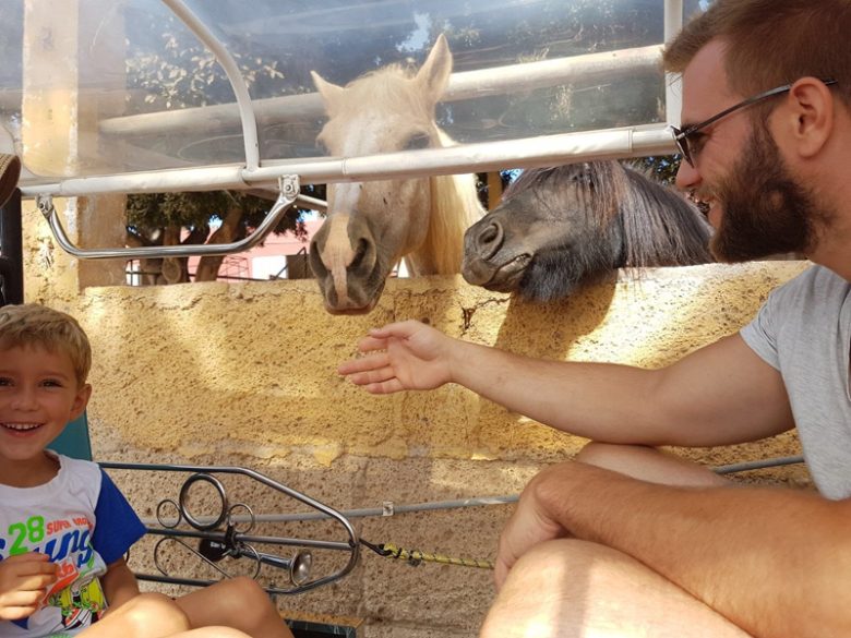 teneriffa-ferien-bauernhof-tour