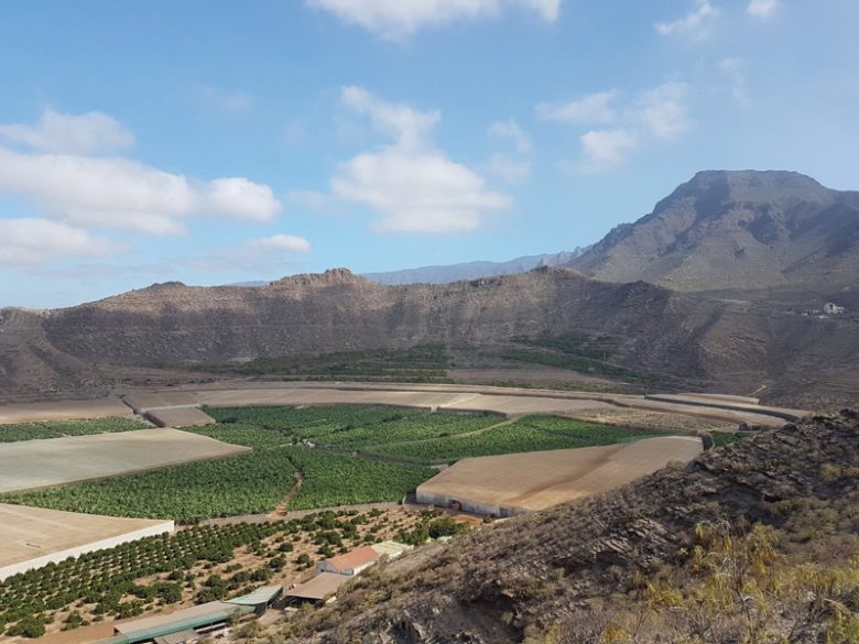 teneriffa-ferien-bauernhof-tour