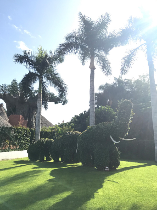 teneriffa-ferien-loro-park