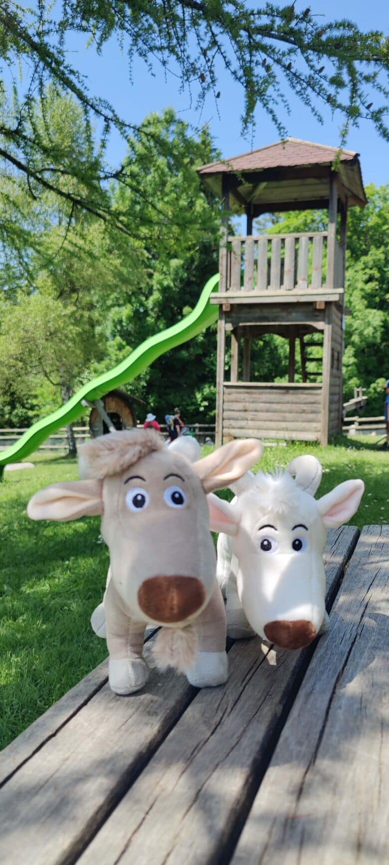 erlebnisweg-themenweg-geissenweg-sattel