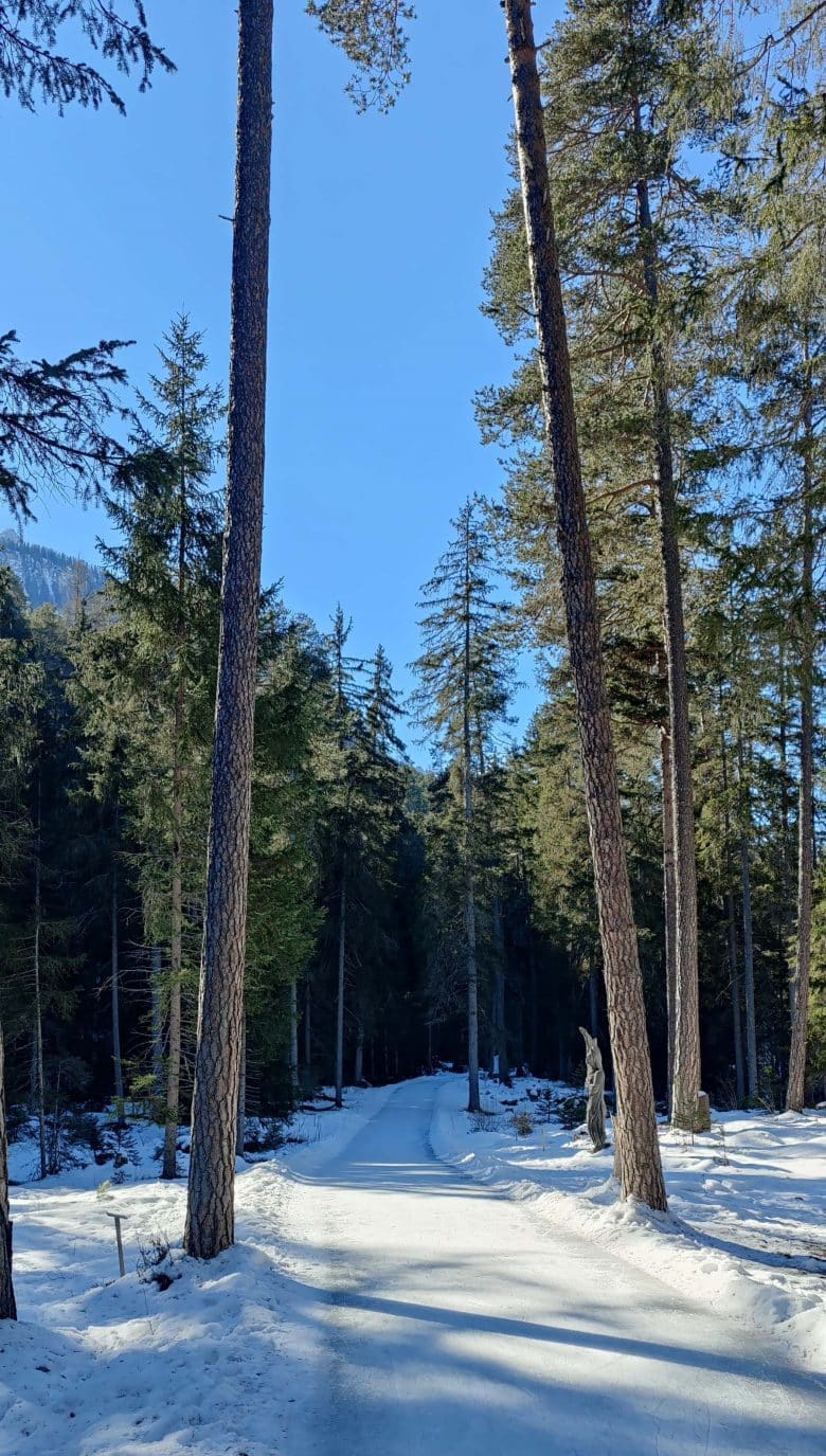 eisweg-engadin