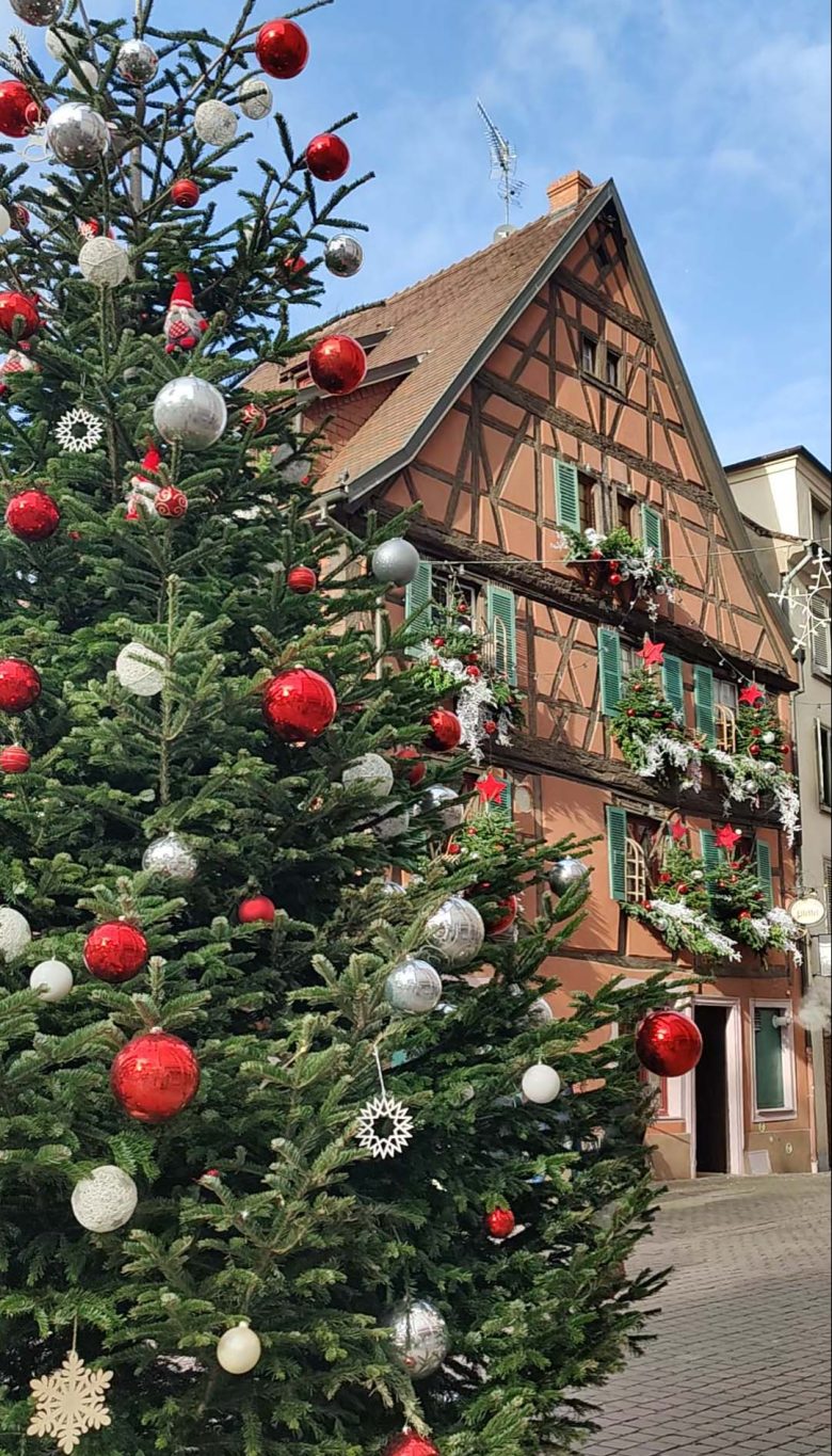 weihnachtsmarkt-colmar-weihnachtsbaum