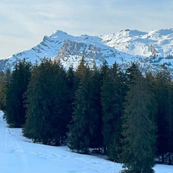3 schöne Winterwanderungen für Familien in der Zentralschweiz