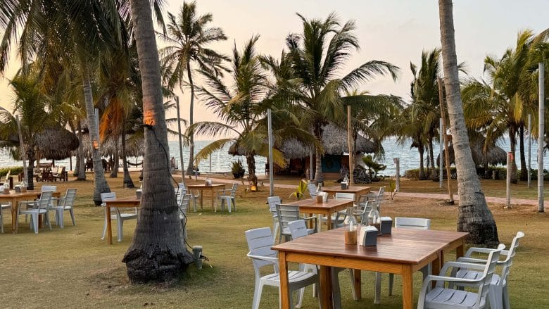 hotel-punta-faro-garten-abendessen