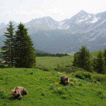 Ausflugsziele mit Kindern in der Schweiz