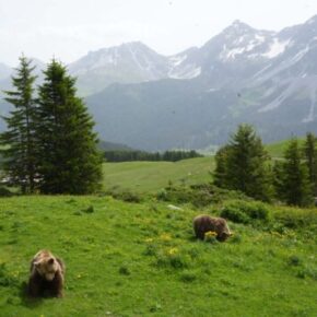 Zauberhafte Sommerferien in Arosa mit Kindern