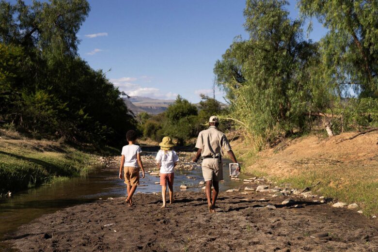 bush-game-drive-samara-karoo