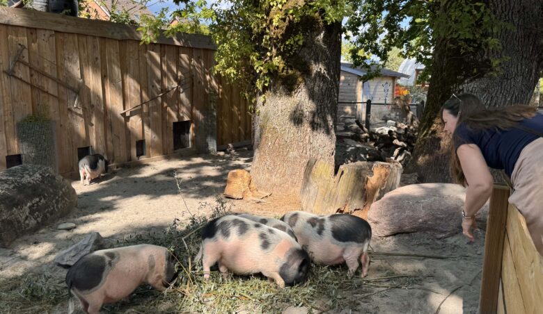 knies-kinderzoo-raperswill-jona