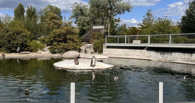 knies-kinderzoo-raperswill-jona