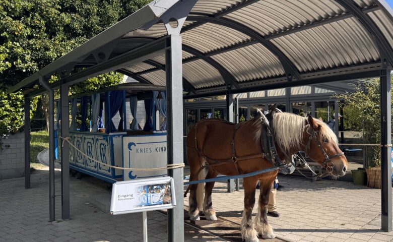 knies-kinderzoo-raperswill-jona