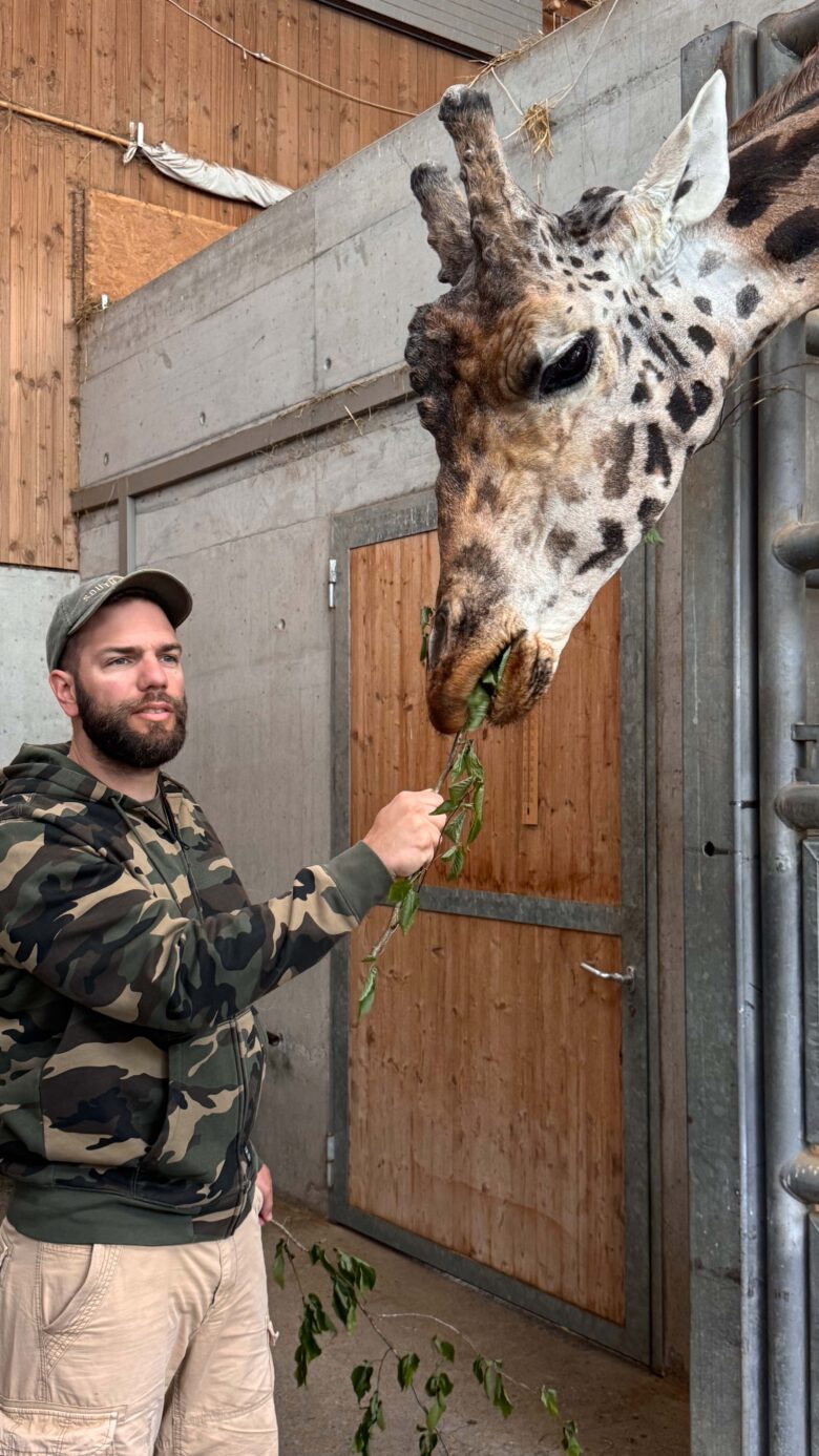 giraffen-lodge-knies-kinderzoo