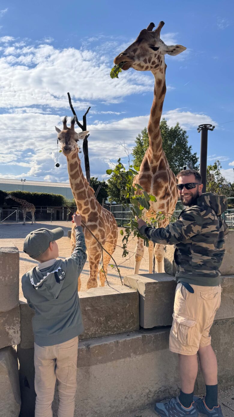 giraffen-lodge-knies-kinderzoo