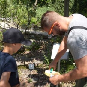Schatzsuche auf den Brissago-Inseln