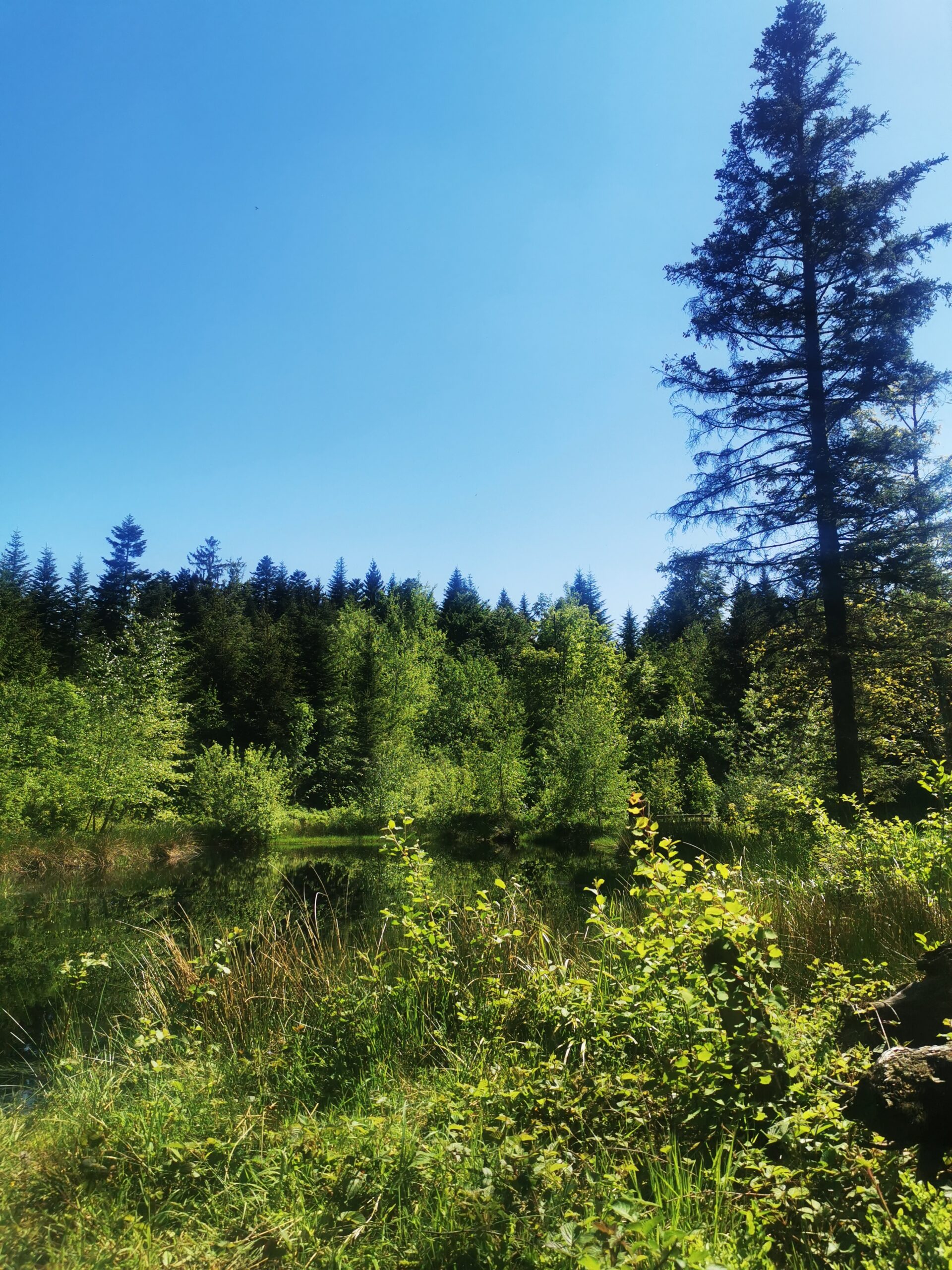 grillplatz-werthenstein-entlebuch