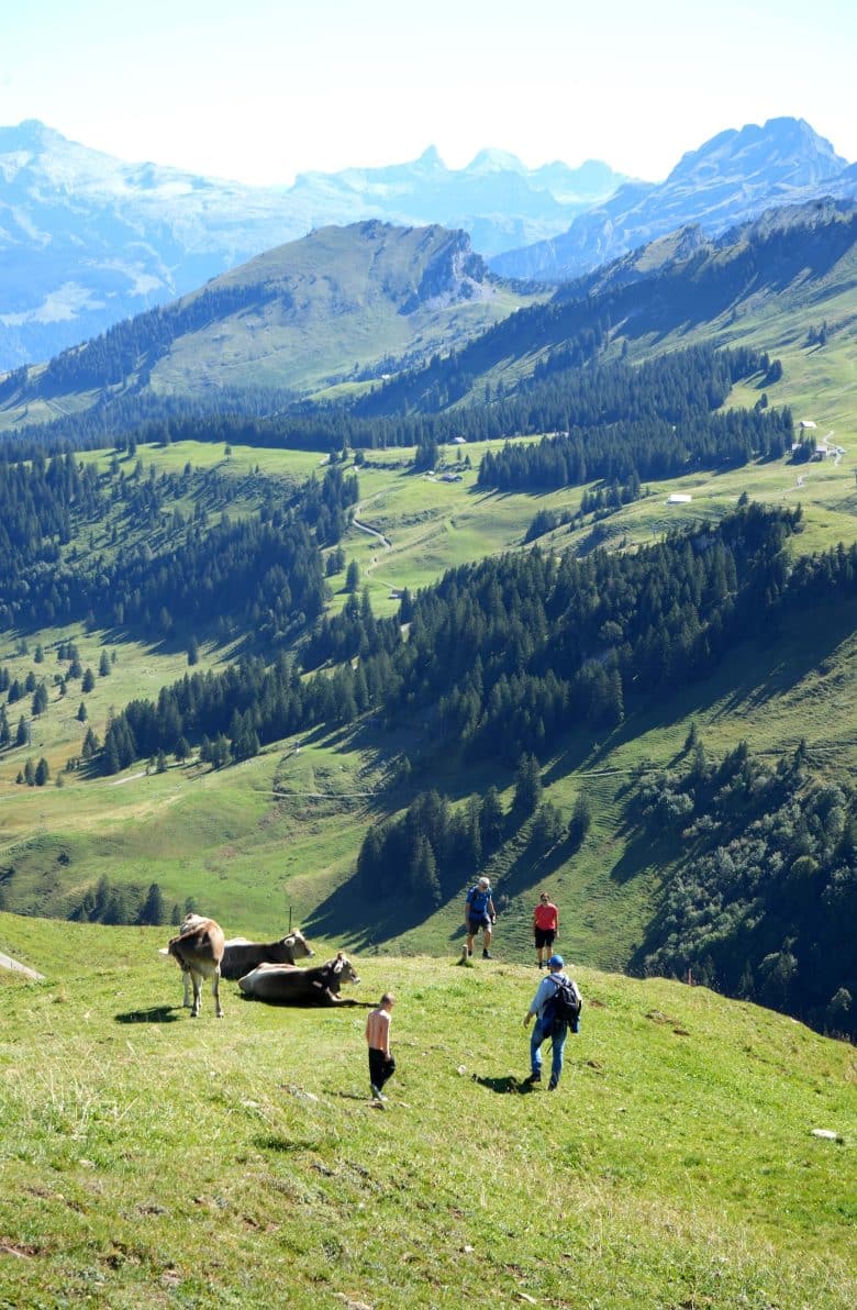 fronalpweg-stoos