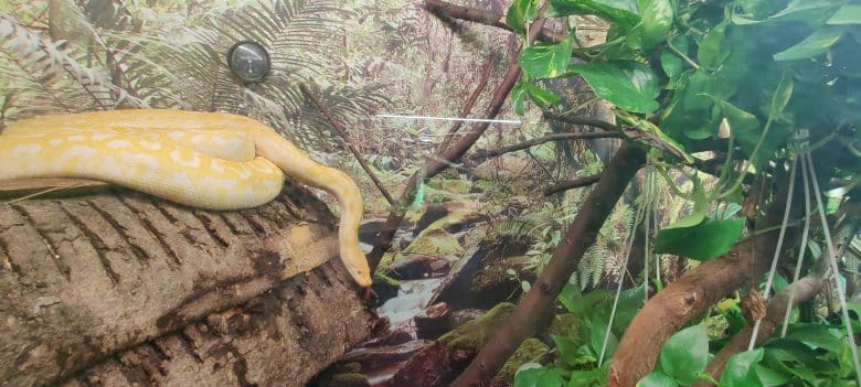 tropicarium-park-jesolo