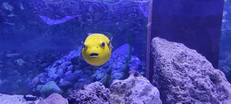 tropicarium-park-jesolo