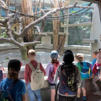 Basel mit Kindern – die besten Ausflüge für Familien