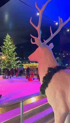 eiszauber-luzern-hirsch