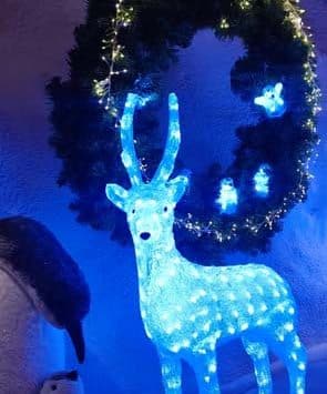 haus-des-weihnachtsmanns-auf-dem-rochers-de-naye
