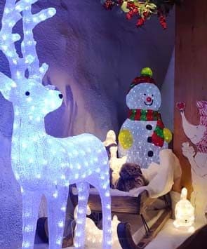 haus-des-weihnachtsmanns-auf-dem-rochers-de-naye