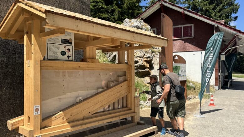 appenzeller-scheibenweg-am-saentis-post-eins