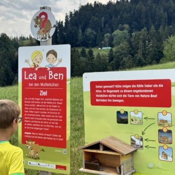 Erlebnisweg Lea und Ben bei den Mutterkühen
