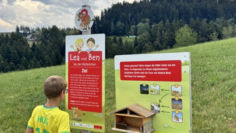 erlebnisweg-lea-und-ben-bei-den-mutterkuehen
