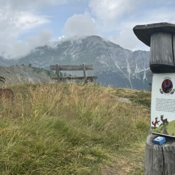 Themenweg «Flurin und die wundersame Vollmondblume»