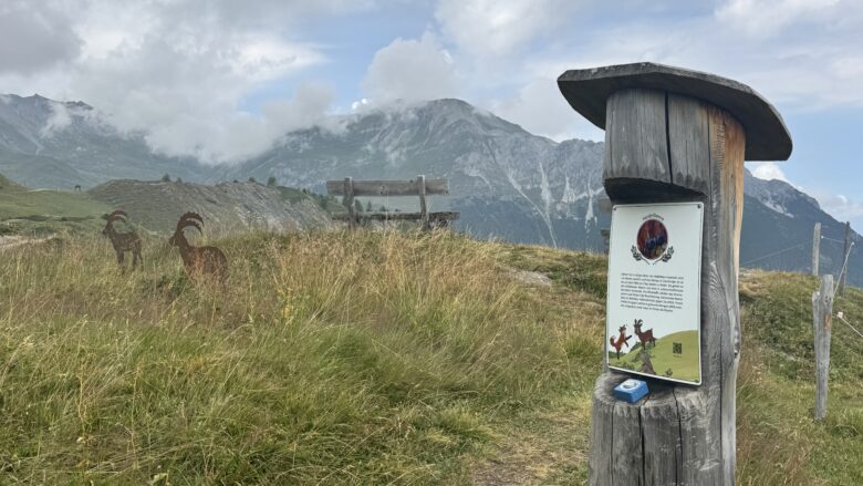 themenweg-flurin-vollmondblume-savognin