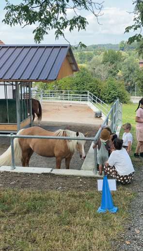 erst-august-brunch-buurehof-wagmatt-pferd