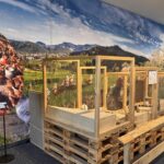 osterausstellung-naturmuseum-luzern